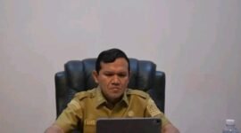 Dock ( Poto Istimewa)